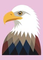 Eagle Head Illustration on White Background vector