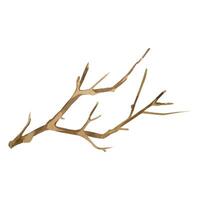 Bare tree branch, dry brown tree branch hand painted with watercolor. Trees in winter. Watercolor illustration. Suitable for printing on fabric and paper, for decoration and postcard design vector
