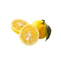Detailed cutout of a A single yuzu fruit isolated photo