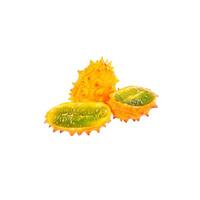 Kiwano or african horned cucumber isolated on white background. photo