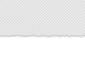 White torn paper down on horizontal page. Scrapbook ripped edges paper background isolated design. vector