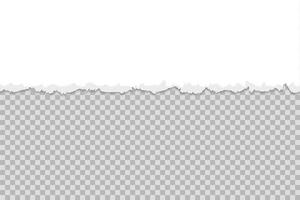 White torn paper up above on horizontal page. Scrapbook ripped edges paper background isolated design. vector