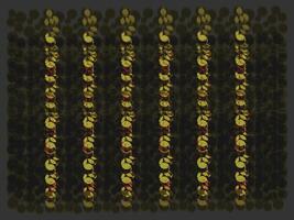 Modern geomatric and textures illustration pattern vector