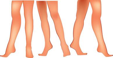 Three different types of legs in different poses vector