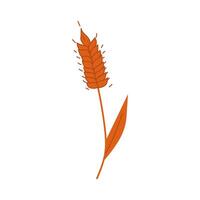 Simple hand drawn wheat. Wheat icon on white background. vector