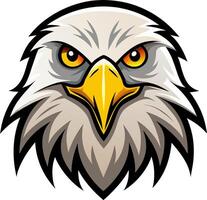 An eagle head with yellow eyes and a big beak vector
