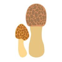 forest mushroom with pattern illustration vector