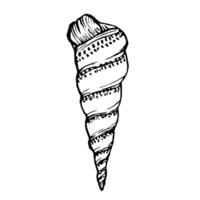Seashell Sketch. Underwater Shells Illustration on outline style. Drawing mollusk isolated on white background. Stylized graphics. Underwater world line art for design label, postcards vector