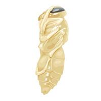 Illustration of the pupa of the Vespa affinis wasp, also known as the lesser banded hornet, isolated on a white background. vector