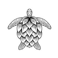 hand drawn illustration of hops combined with turtle vector