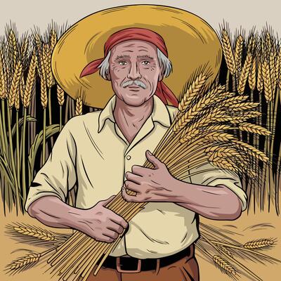 Elderly farmer holding wheat bundle in golden field.