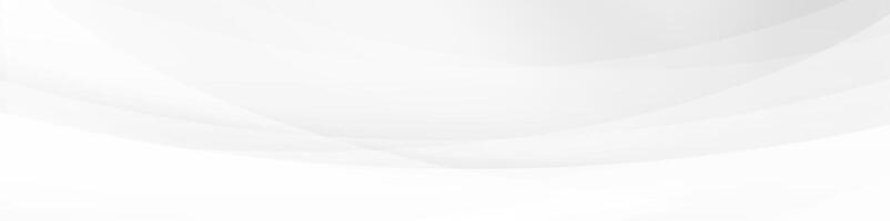 Abstract White Curved Lines Design Background vector