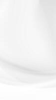 Abstract White Background with Gentle Curved Lines vector