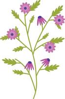 Spring Flower Clipart in Purple Color. vector