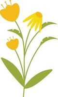 Spring Flower Illustration with Yellow Color. vector