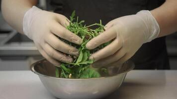 Hands of executive chef of high-end restaurant carefully sort through leaves and ingredients of fresh green salad, composed of various herbs, and place them in large bowl. video
