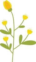 Spring Flower Illustration with Yellow Color. vector