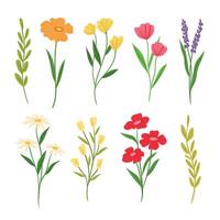 Collection of hand drawn floral and botanical leaf decorative element vector