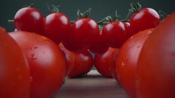 Tomatoes are arranged in a row on a table video