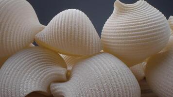 A pile of white shells on a table video