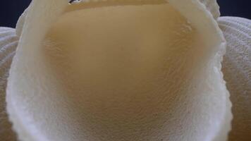 A close up of a white shell with a hole in it video
