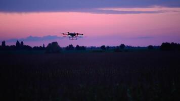 A small drone flying over a field at dusk video