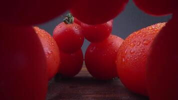 tomates estão arranjado dentro uma círculo com água gotas em eles video