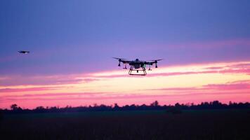 A small drone flying over a field at sunset video