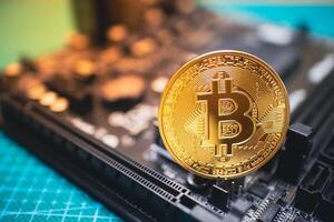 Golden Bitcoin on a Computer Circuit Board. photo