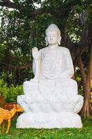 white Buddhist statue of a sitting Buddha at Linh Ung Pagoda in Da Nang in Vietnam in summer in Asia photo