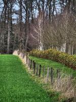 A field with a fence and trees in the background photo
