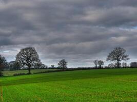 A field with trees and a cloudy sky photo