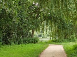 A path that is lined with trees and grass photo