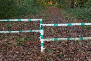 A path with a fence in the middle of it photo