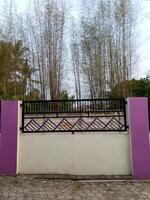 A modern fence with a purple accent wall and pillars. The fence features a geometric design and is situated in front of a bamboo grove. photo