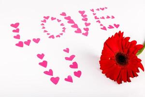 Valentine concept. Inscription Love You with hearts and red gerbera flower on White backround. Selective focus. photo