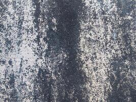 The surface of the wall is mottled with a rough texture, highlighting the intricate patterns and natural compositions, suitable for an earthy and organic design theme. photo