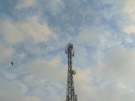 A communication tower stands tall beneath a vibrant sky filled with soft clouds. The presence of a bird in flight adds a dynamic element, highlighting the interaction between nature and technology. photo