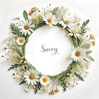 Tender, light, very thin wreath made of daisies and thin leaves, with ideal big white circle copyspace inside and lettering sorry. Perfect white background photo