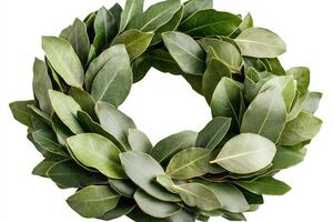 Laurel wreath forming a circle on a white background photo