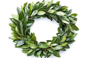Laurel wreath forming a circle on a white background photo