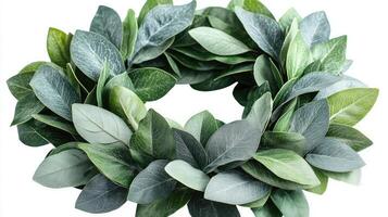 Laurel wreath forming a circle on a white background photo