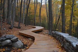 Winding wooden path through autumn forest scenery photo