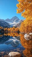 Golden aspen trees reflecting in an alpine lake with snowy mountain peaks in the background photo