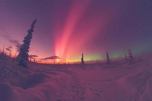Northern lights illuminating snowy path and frozen trees at colorful sunset photo