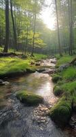 Sun shining through trees on flowing creek in lush green forest photo