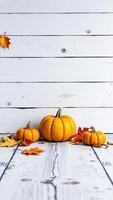 Fall Pumpkins and Leaves on White Wood Background photo