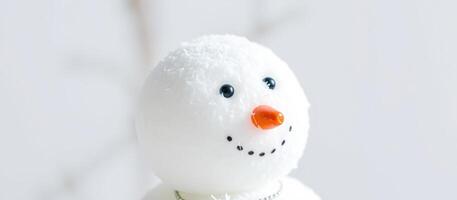 Close-up of a snowman's face photo