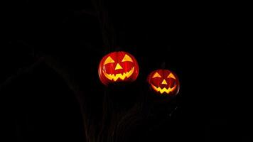 Spooky Jack-O-Lanterns Glowing in the Night photo