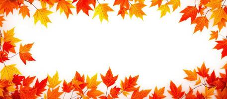 Autumn leaves frame with white background photo